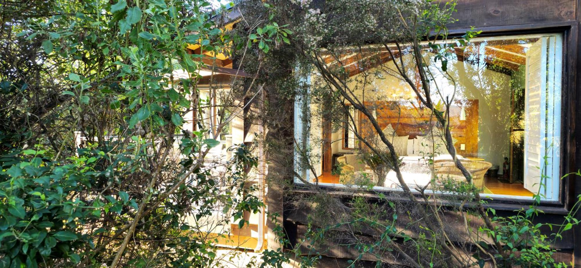 Elephant Hide Of Knysna Guest Lodge מראה חיצוני תמונה